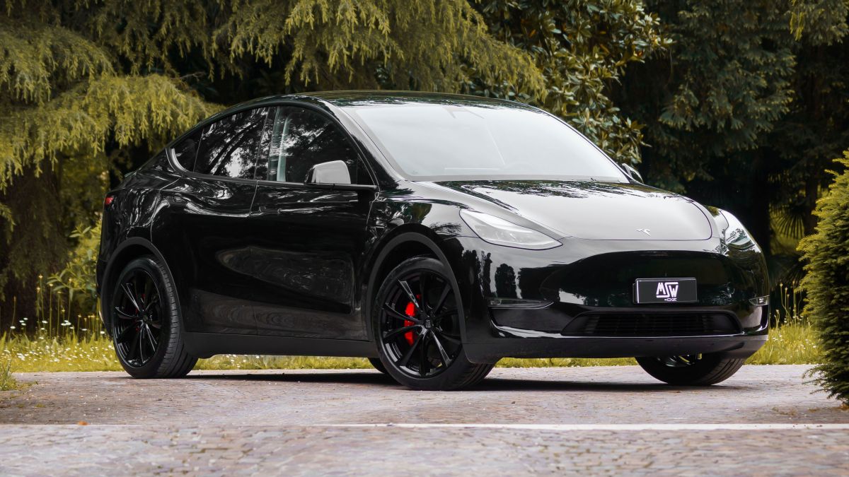 Model Y (inkl. Performance) 01/2021-03/2025